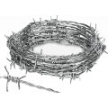 High Quality Hot Dipped Razor Barbed Wire